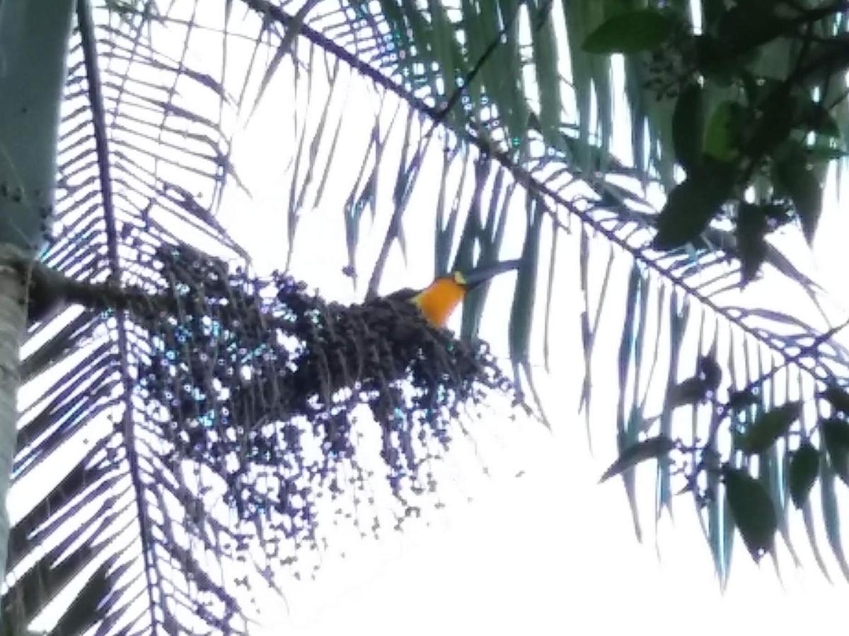 Pousada Hang Conectada Com A Natureza Florianópolis Exterior foto